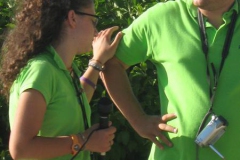 minigrest052
