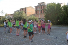 minigrest055