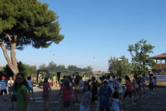 minigrest060