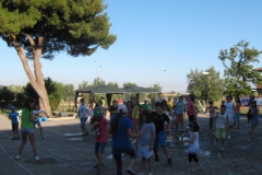 minigrest061