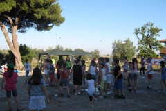 minigrest062