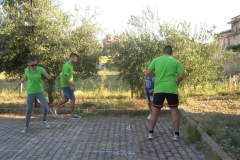 minigrest066
