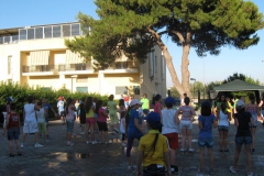 minigrest067